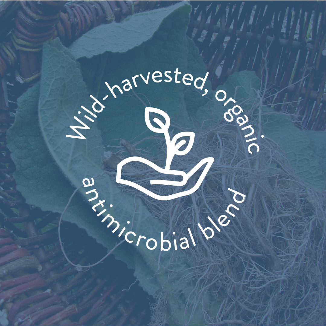 Lil' Cruiser Cleaner *Cleaning Kit*